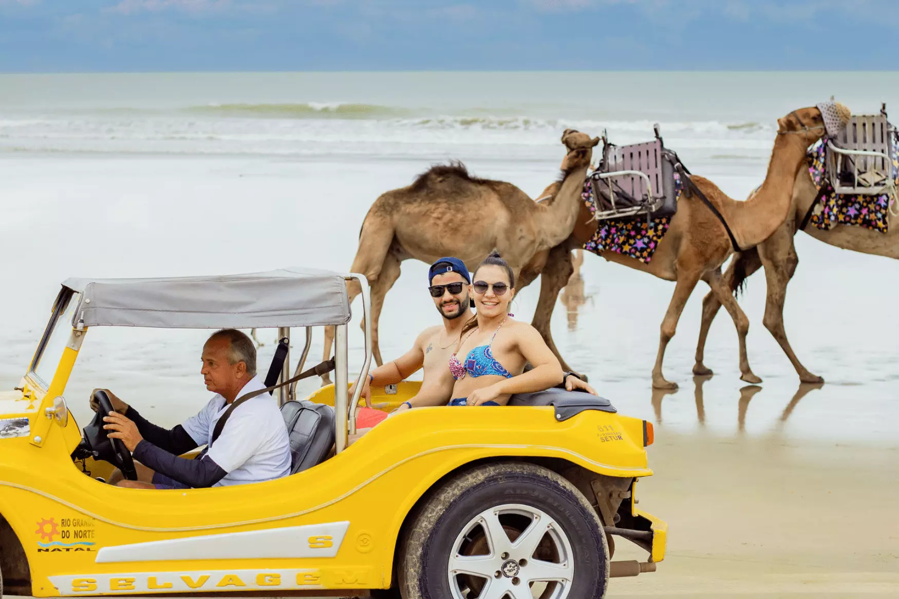 jenipabu buggy
